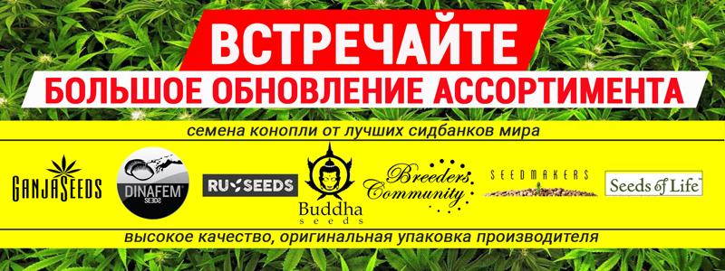 Buddha Seeds, Breeders Community, Dinafem, RuSeeds, Seedmakers и Seeds of Life