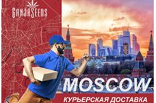 Москва: Курьерская доставка семян конопли
