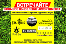 Семена конопли от: Buddha Seeds, Breeders Community, Dinafem, RuSeeds, Seedmakers и Seeds of Life уже в продаже!