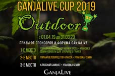 «GanjaLive Cup 2019 - Outdoor»: лучшие призы для лучших гроверов